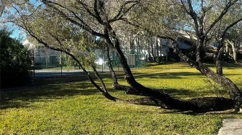903 Bough Avenue Clearwater FL 33760
