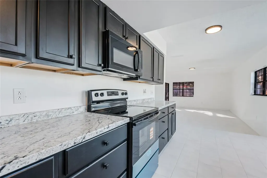 2020 Hidden Dale Court Kissimmee FL 34741