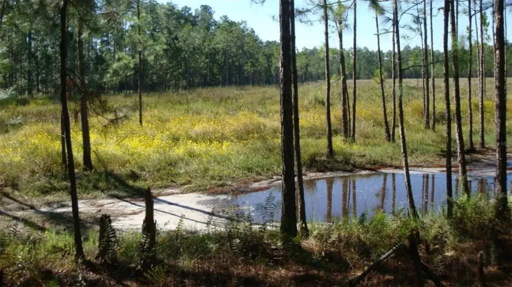 Highway 630 E Frostproof FL 33843