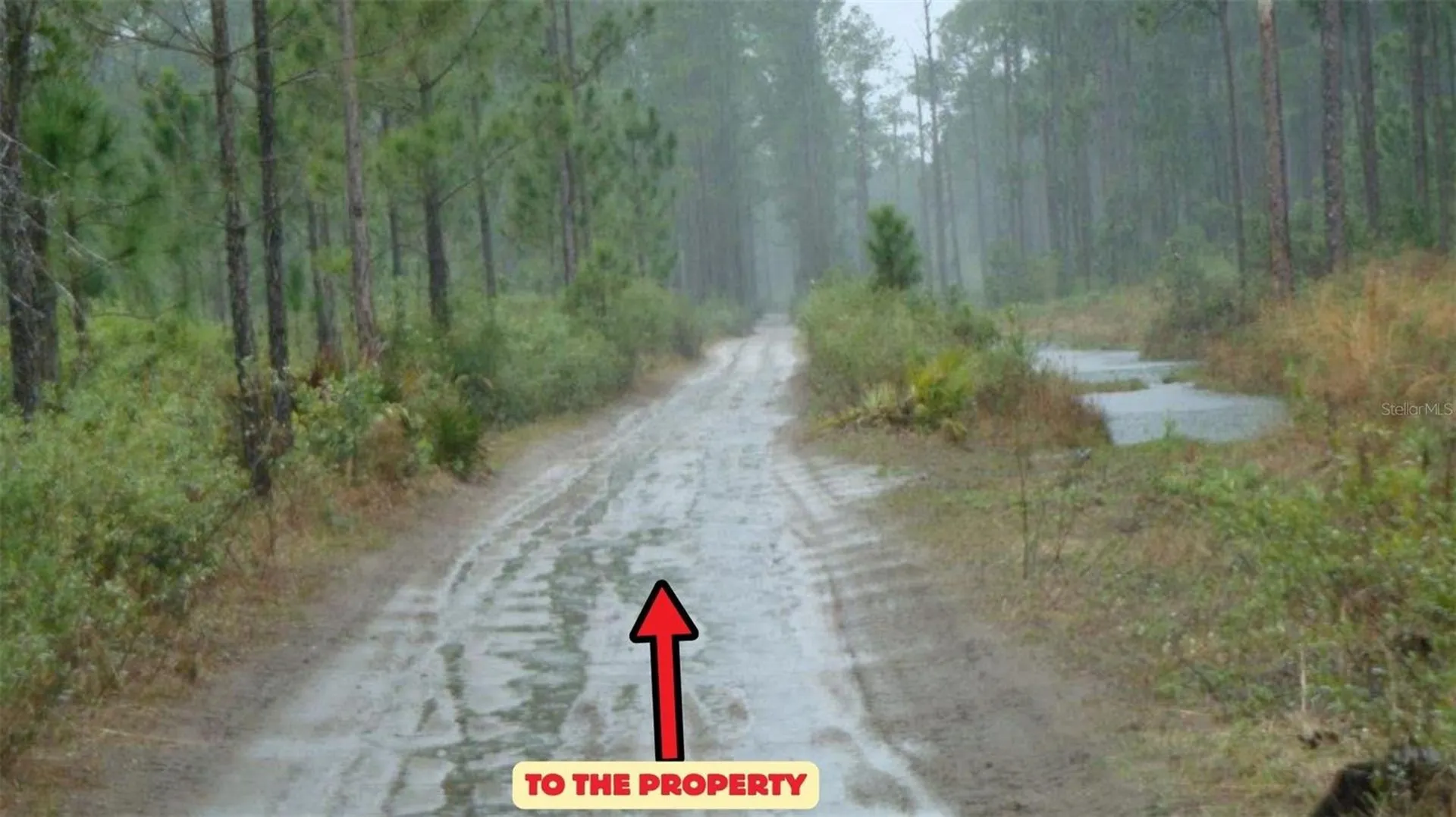 Highway 630 E Frostproof FL 33843