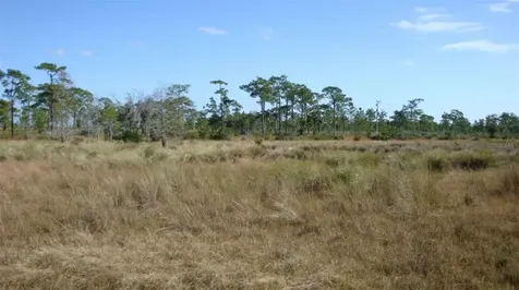 Highway 630 E Frostproof FL 33843