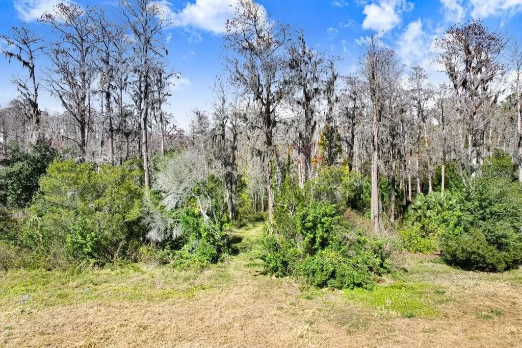 Tobacco Road Lutz FL 33558