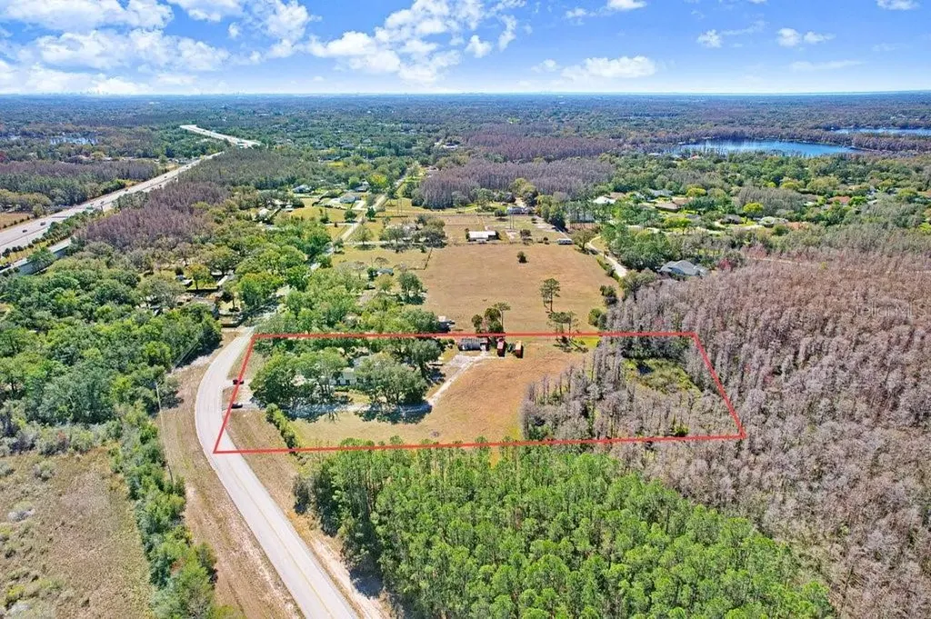 Tobacco Road Lutz FL 33558