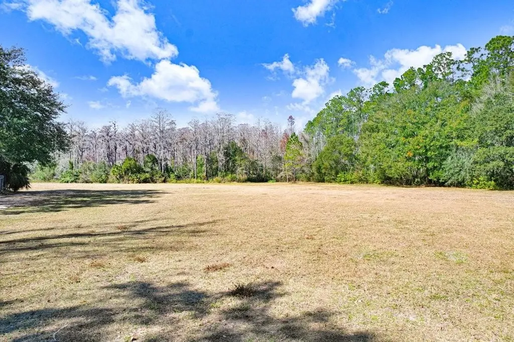 Tobacco Road Lutz FL 33558