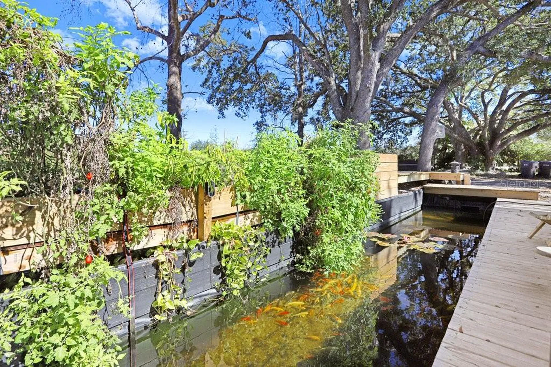 Tobacco Road Lutz FL 33558