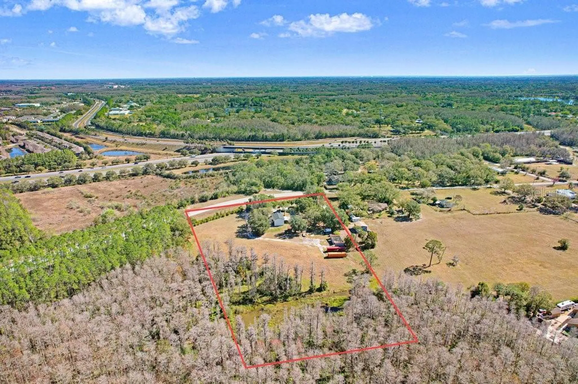 Tobacco Road Lutz FL 33558