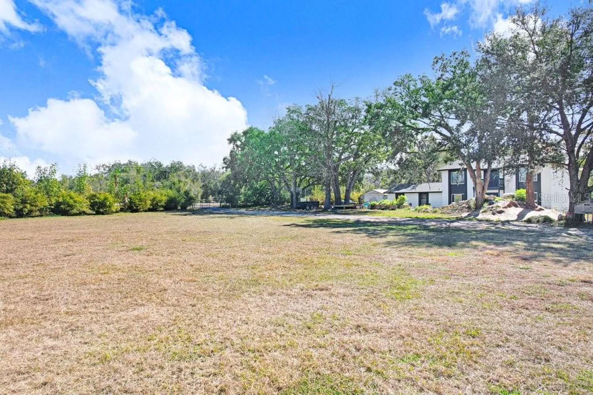 Tobacco Road Lutz FL 33558
