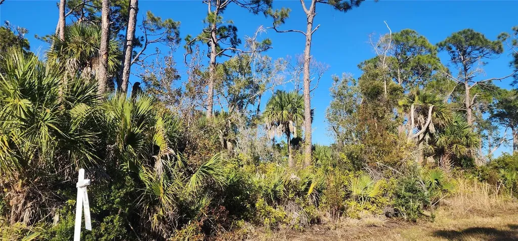 12006 Coleman Avenue Port Charlotte FL 33981