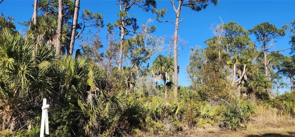 12006 Coleman Avenue Port Charlotte FL 33981