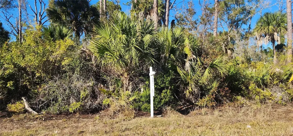 12006 Coleman Avenue Port Charlotte FL 33981