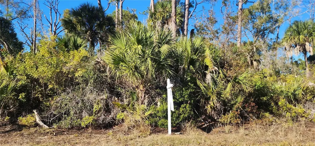 12006 Coleman Avenue Port Charlotte FL 33981