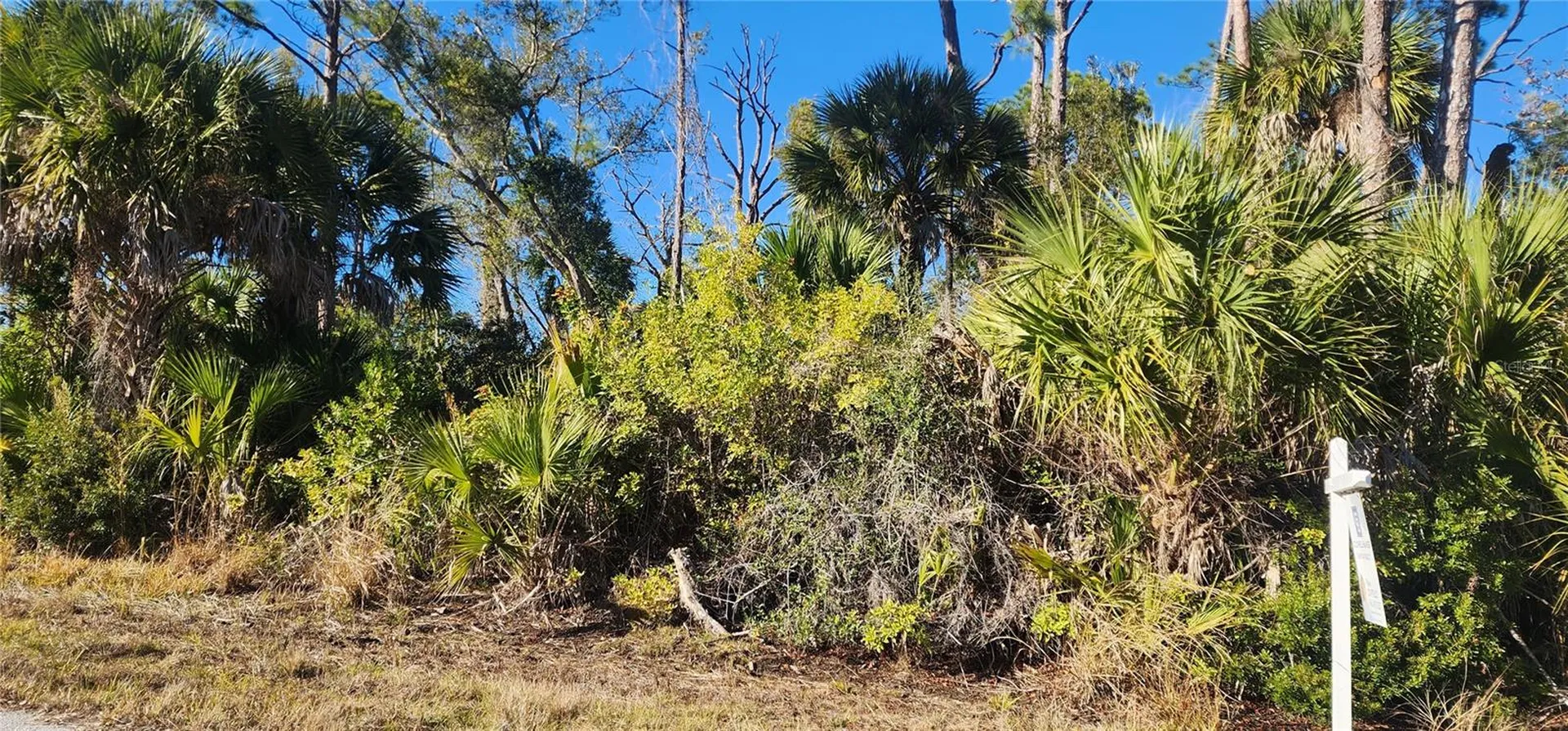 12006 Coleman Avenue Port Charlotte FL 33981