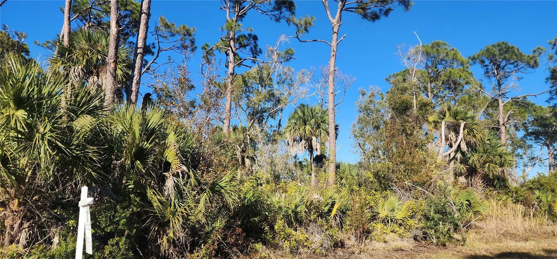 12006 Coleman Avenue Port Charlotte FL 33981