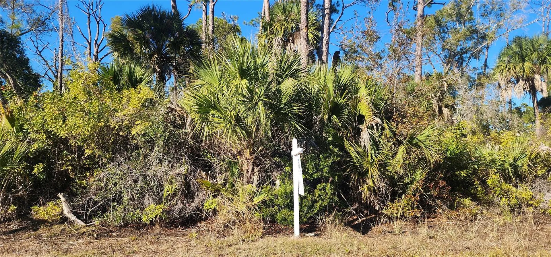 12006 Coleman Avenue Port Charlotte FL 33981