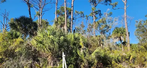 12006 Coleman Avenue Port Charlotte FL 33981