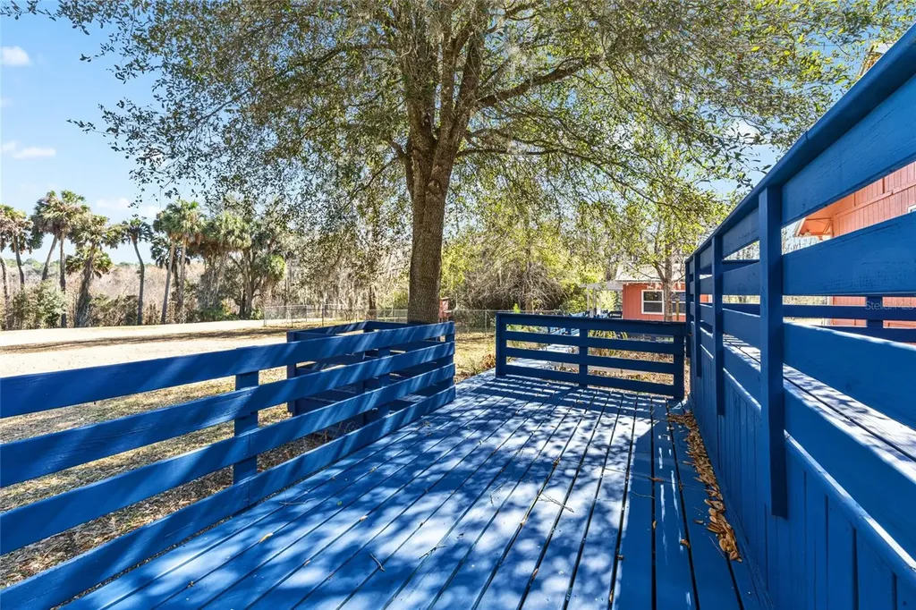 22157 NW 87th Avenue Road Micanopy FL 32667