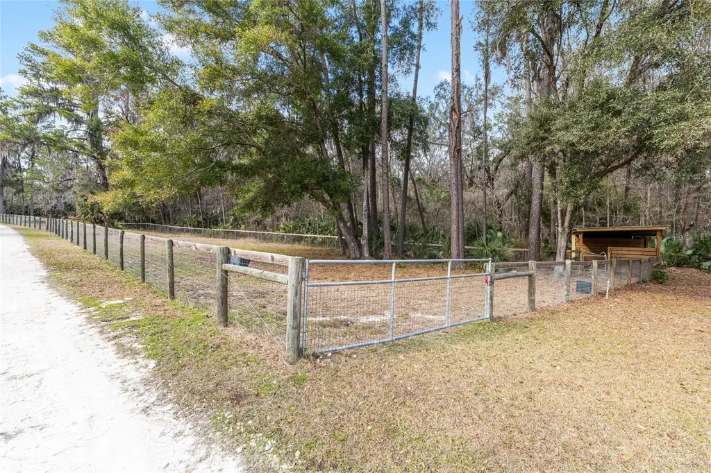 22157 NW 87th Avenue Road Micanopy FL 32667
