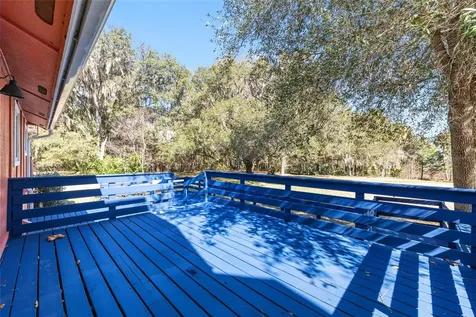 22157 NW 87th Avenue Road Micanopy FL 32667