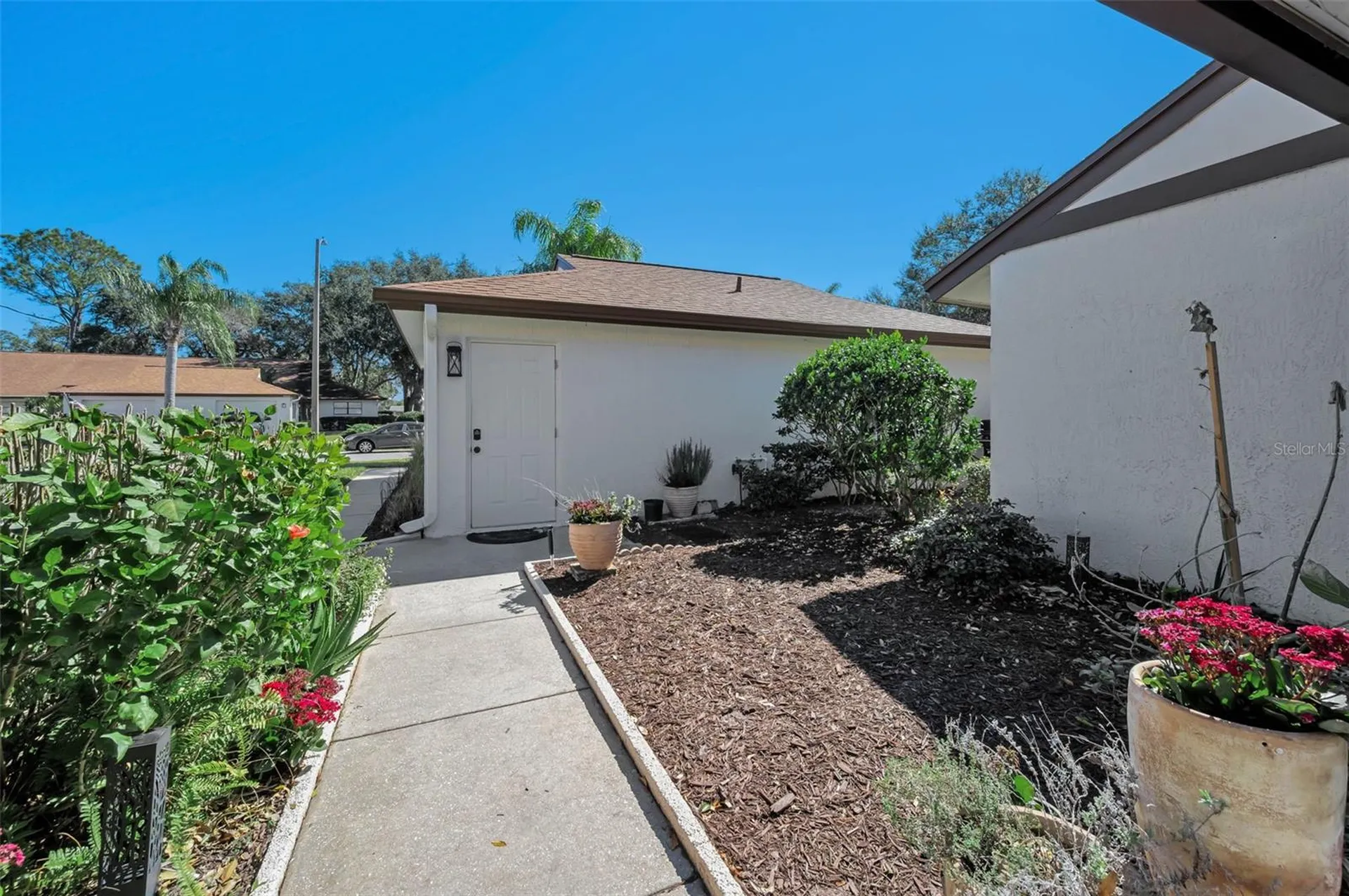 3351 Lori Lane New Port Richey FL 34655