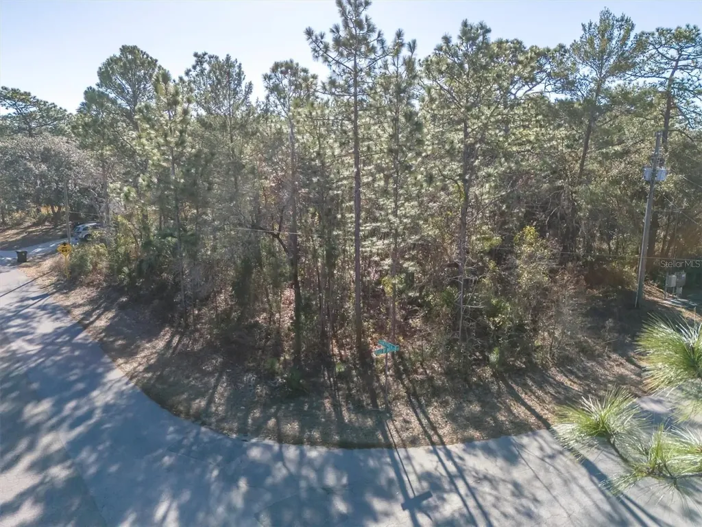 30 Bells Of Ireland Court Homosassa FL 34446