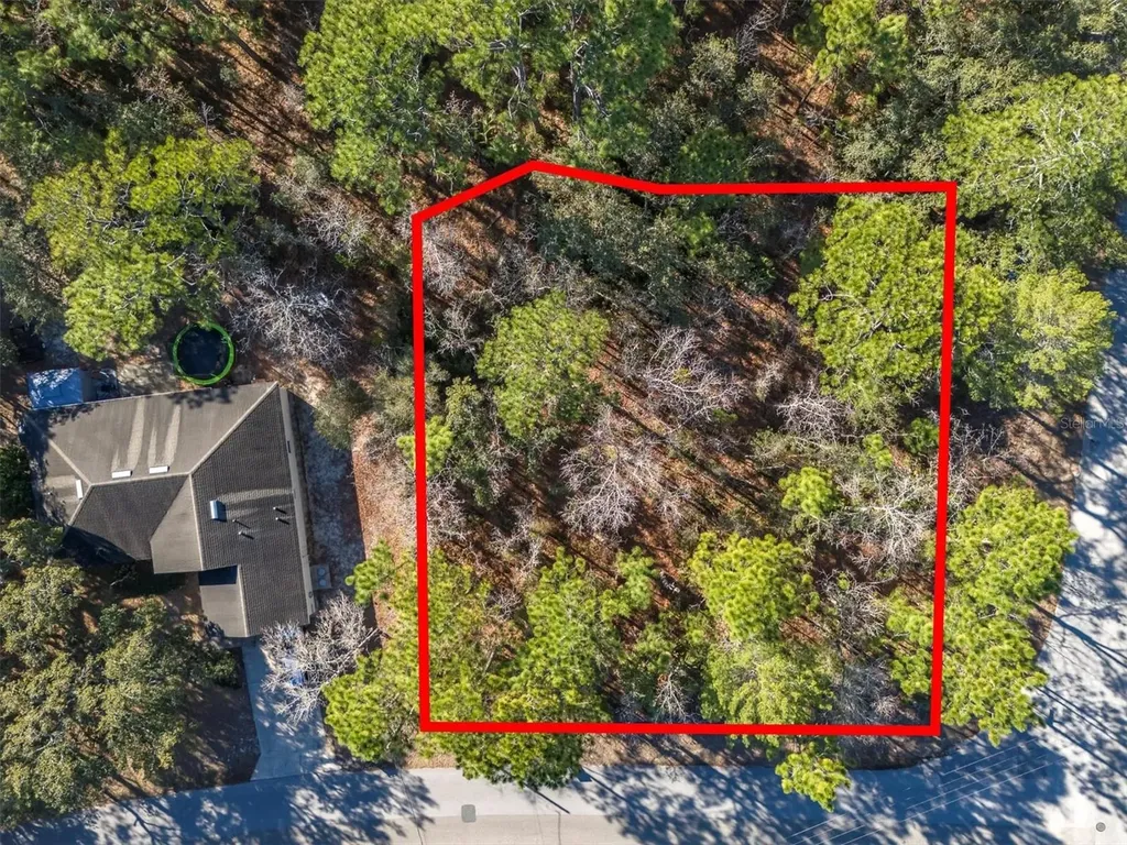 30 Bells Of Ireland Court Homosassa FL 34446