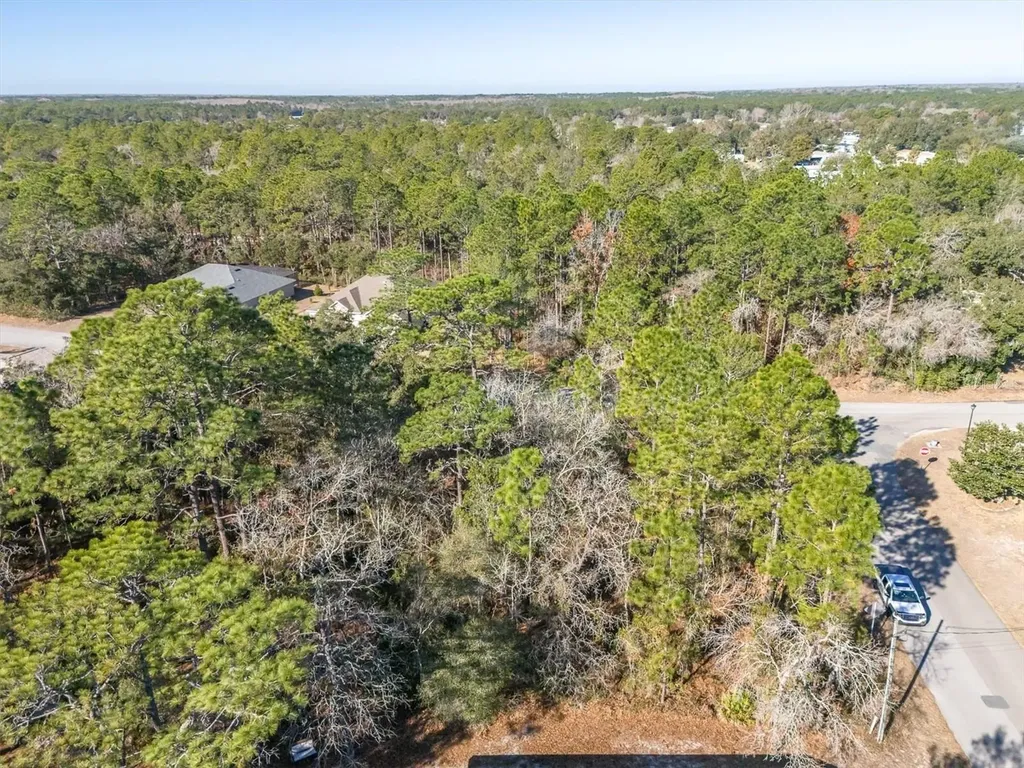 30 Bells Of Ireland Court Homosassa FL 34446