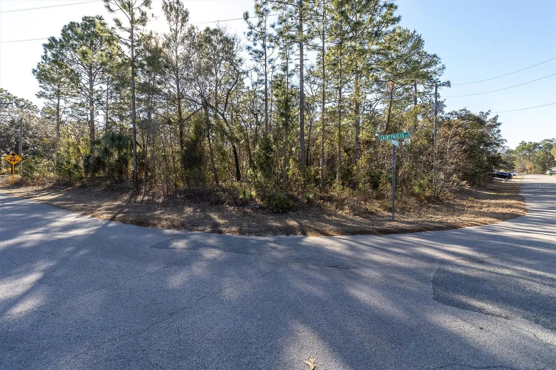 30 Bells Of Ireland Court Homosassa FL 34446