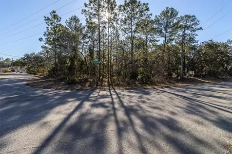 30 Bells Of Ireland Court Homosassa FL 34446