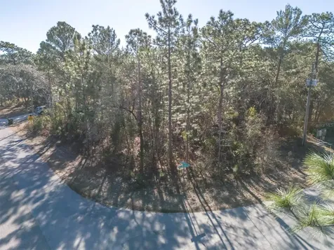 30 Bells Of Ireland Court Homosassa FL 34446