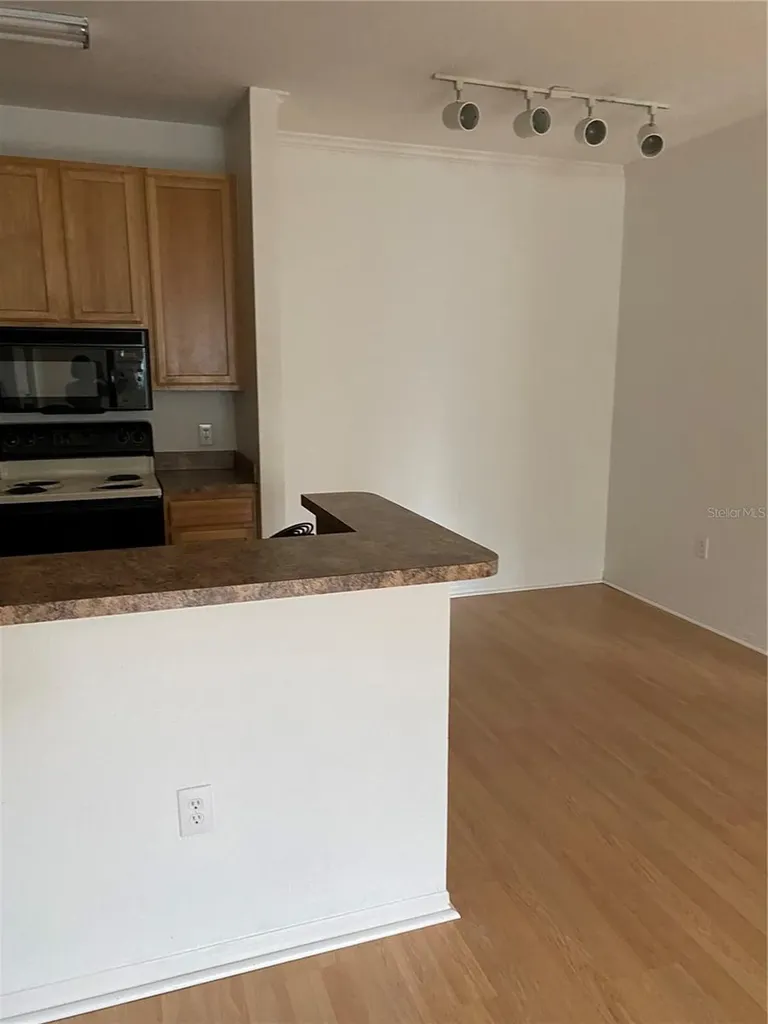 10211 Courtney Palms Boulevard Tampa FL 33619