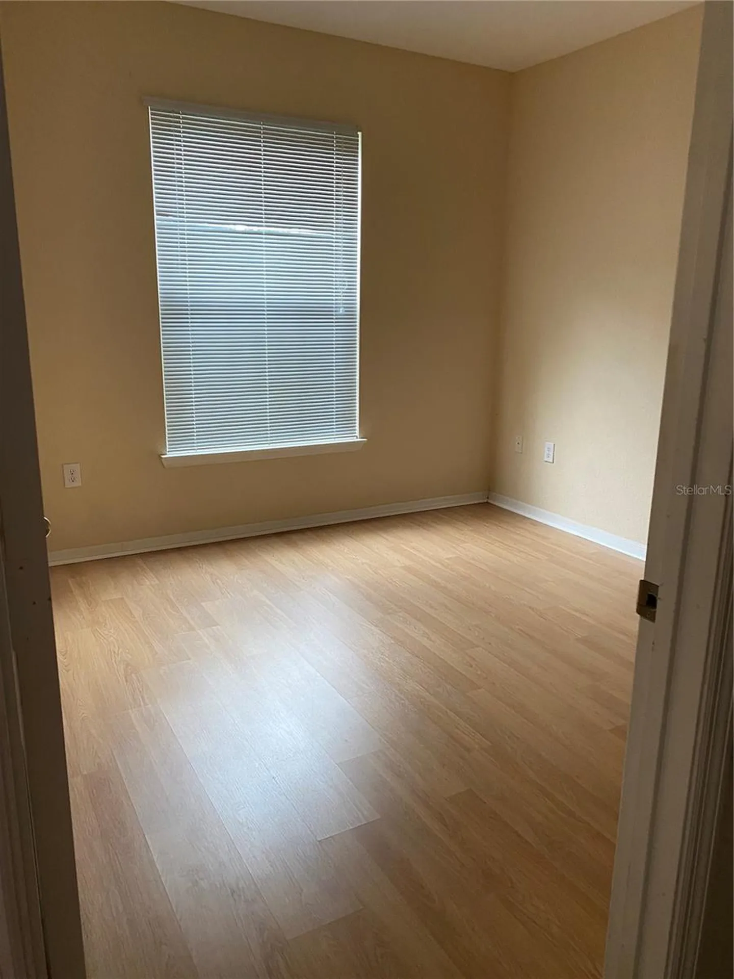 10211 Courtney Palms Boulevard Tampa FL 33619