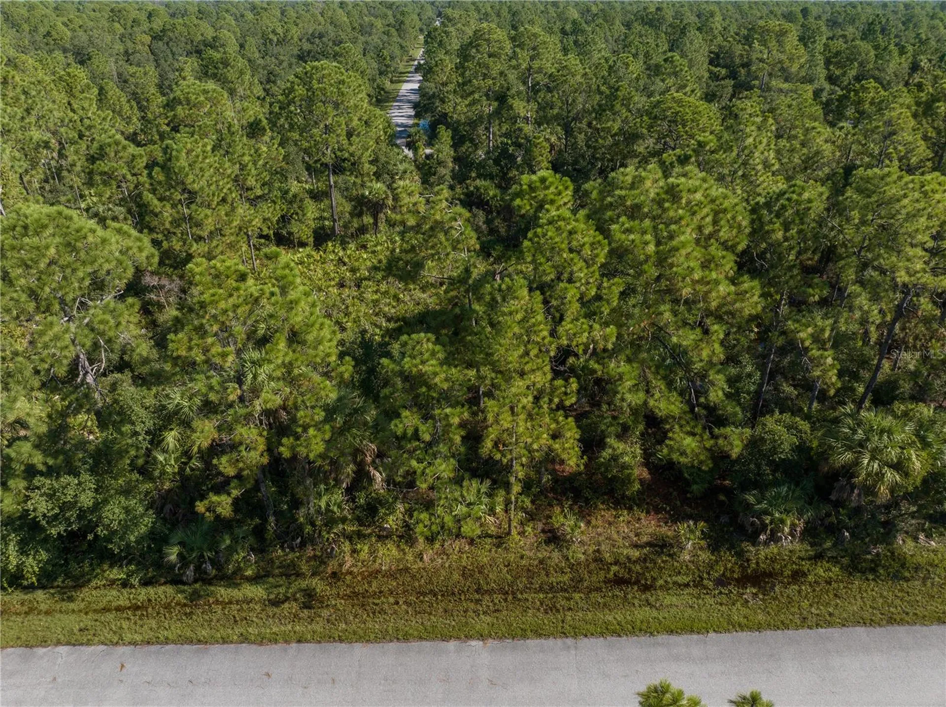 14142 Dunlap Avenue Port Charlotte FL 33953
