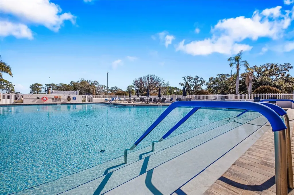 313 Palo Verde Drive Leesburg FL 34748