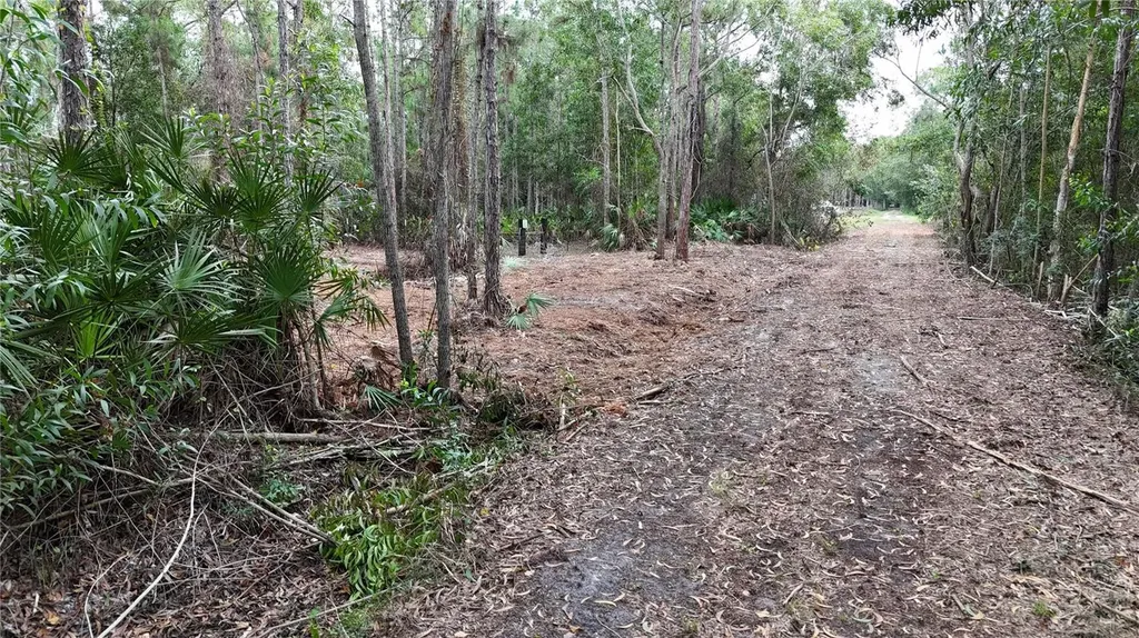 Pantera Lane Naples FL 34120