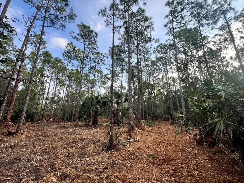 Pantera Lane Naples FL 34120