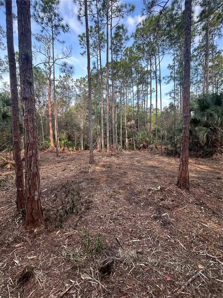 Pantera Lane Naples FL 34120