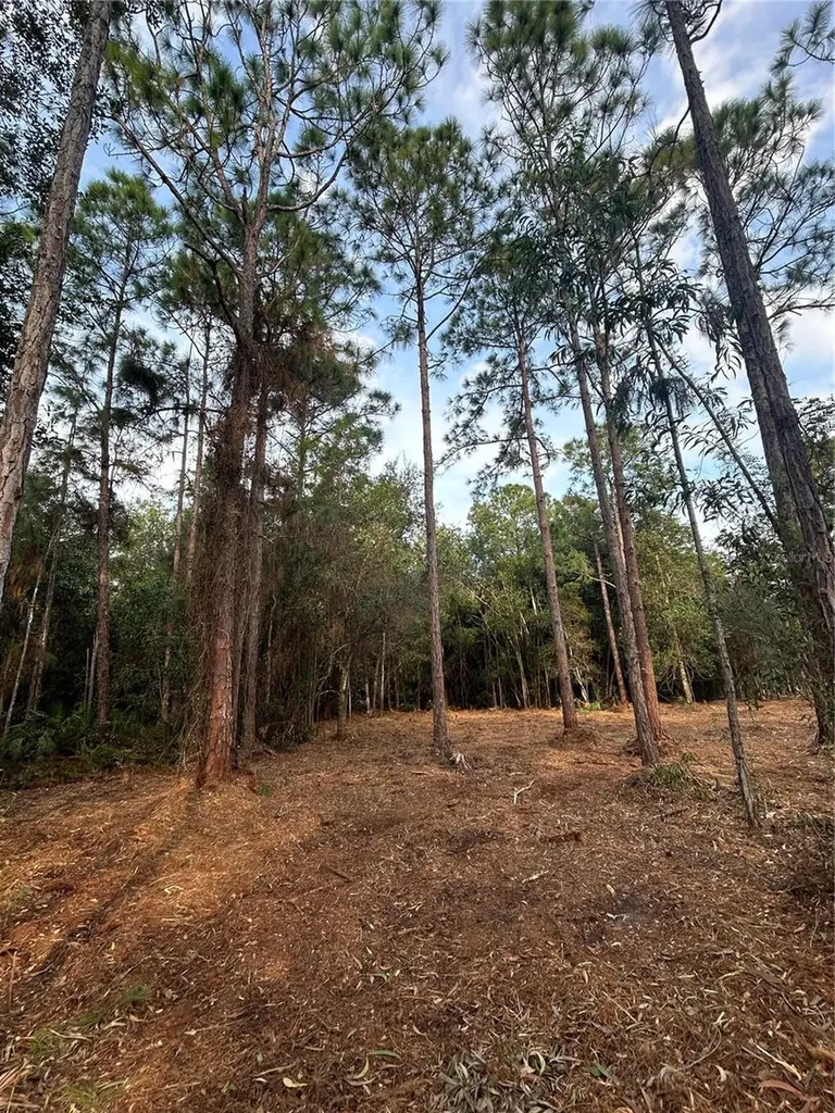 Pantera Lane Naples FL 34120