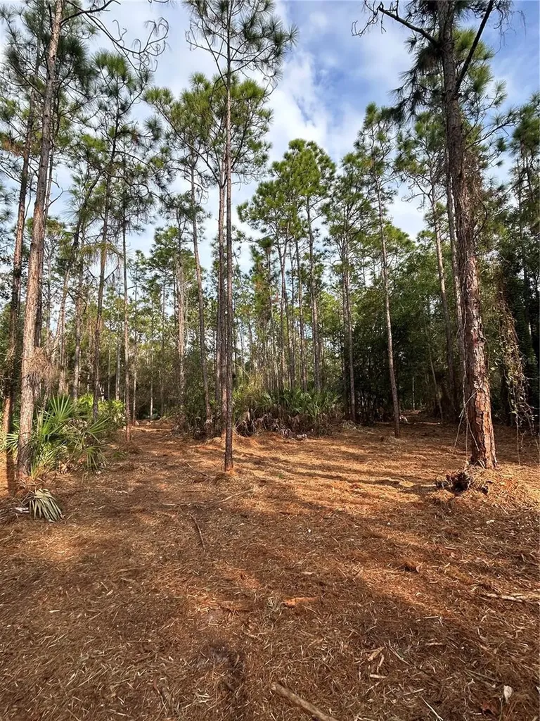 Pantera Lane Naples FL 34120