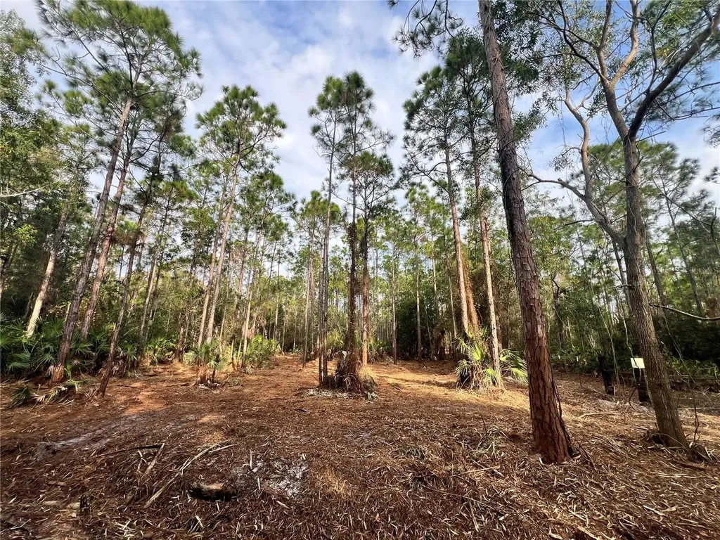 Pantera Lane Naples FL 34120