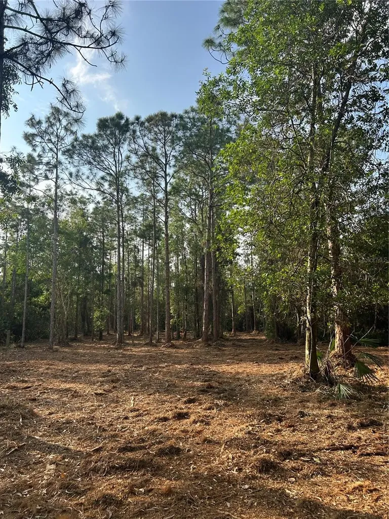 Pantera Lane Naples FL 34120