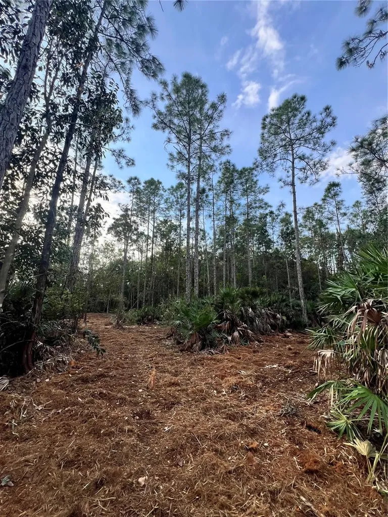 Pantera Lane Naples FL 34120
