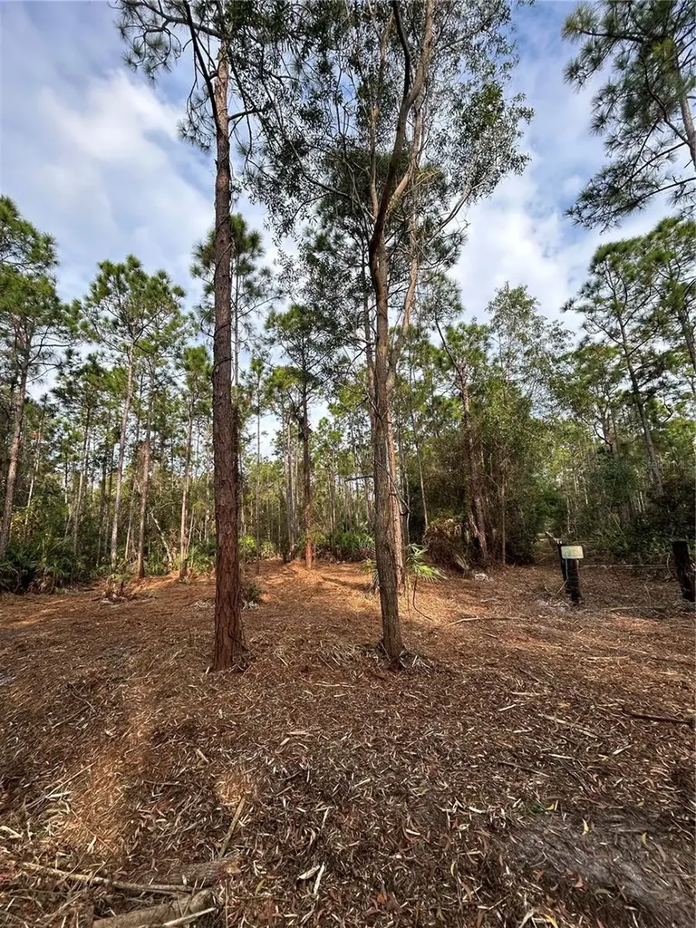 Pantera Lane Naples FL 34120