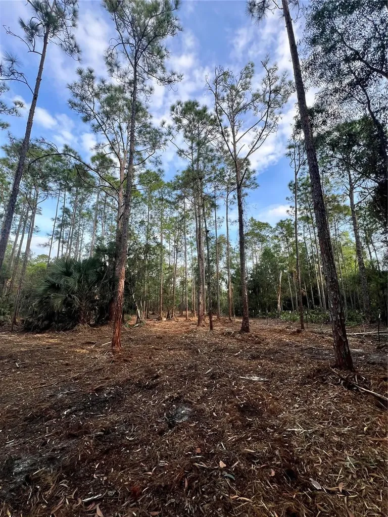 Pantera Lane Naples FL 34120