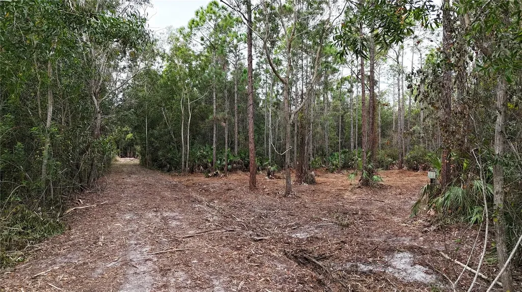 Pantera Lane Naples FL 34120