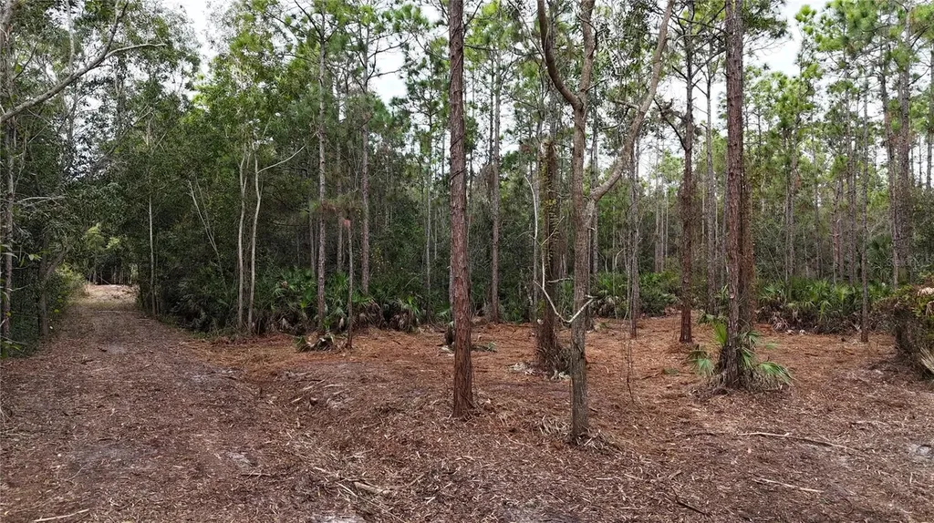 Pantera Lane Naples FL 34120