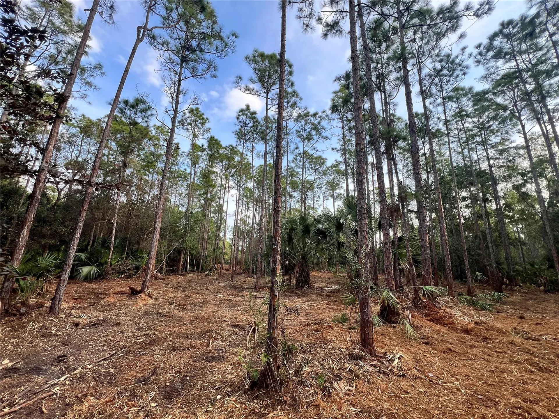 Pantera Lane Naples FL 34120