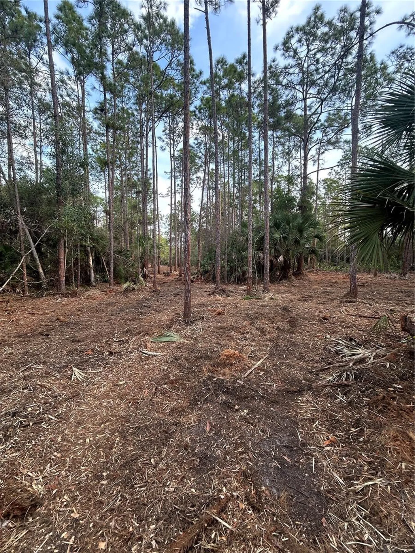 Pantera Lane Naples FL 34120