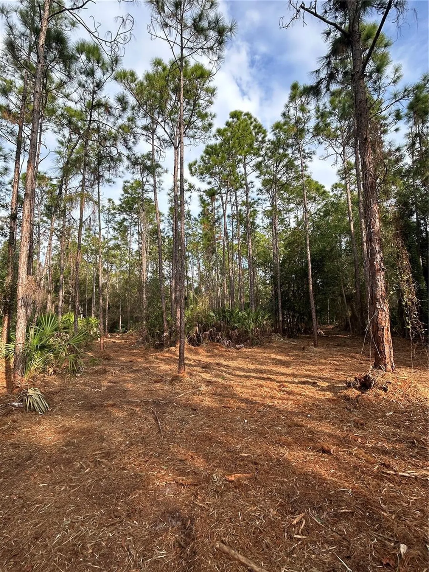 Pantera Lane Naples FL 34120
