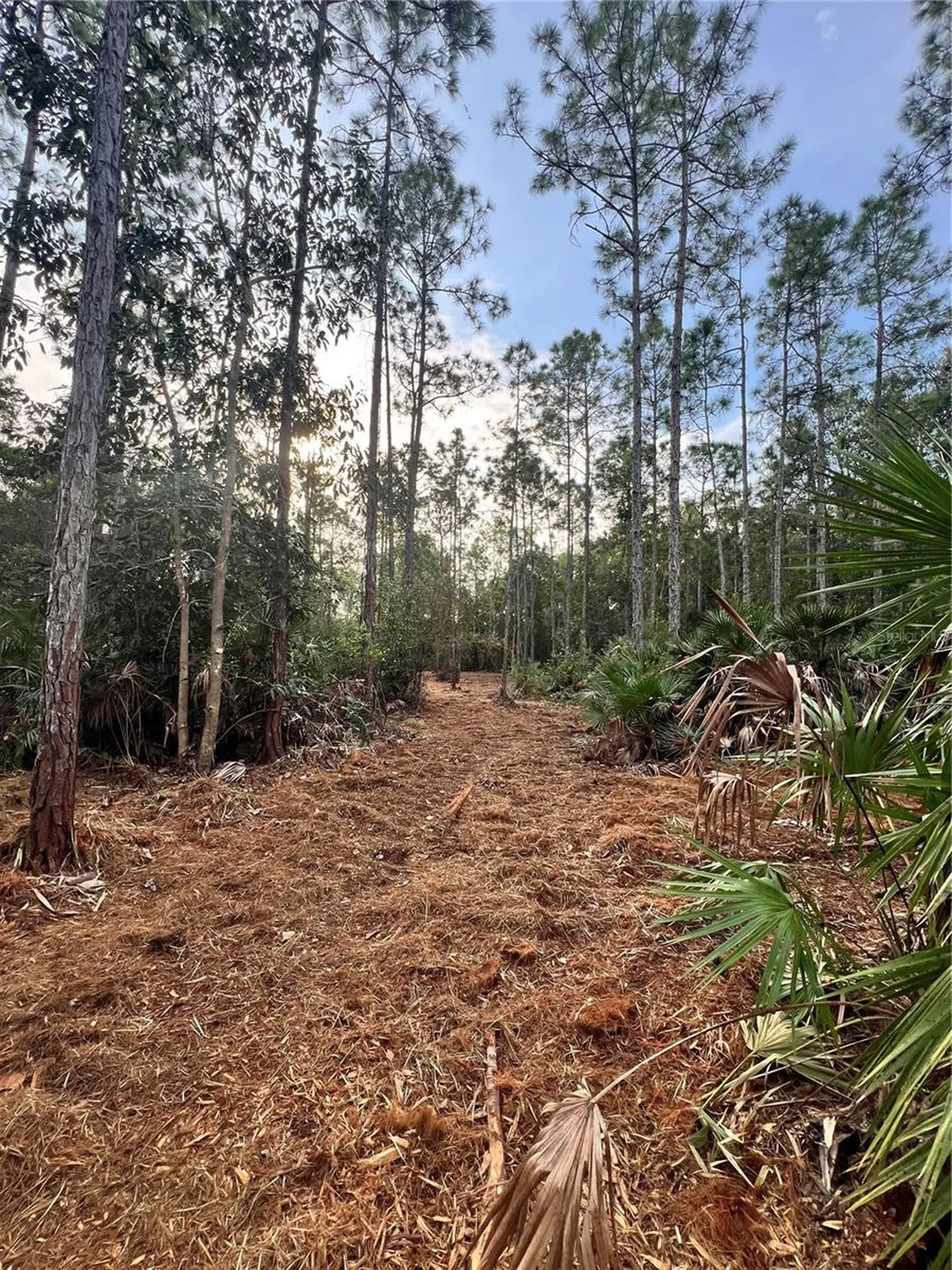 Pantera Lane Naples FL 34120