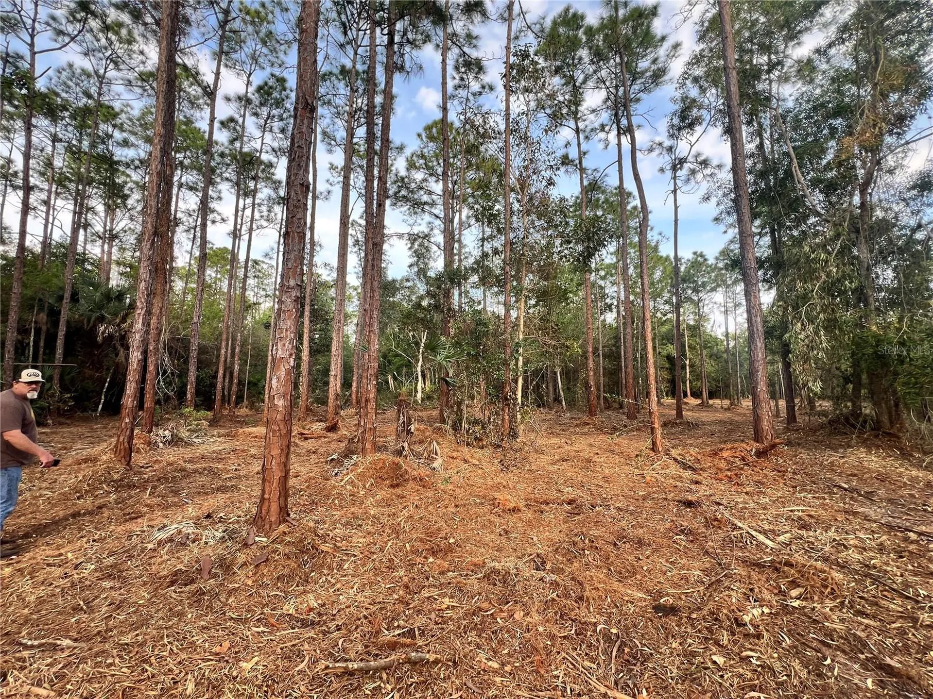 Pantera Lane Naples FL 34120